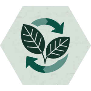 Green Economy & Sustainability