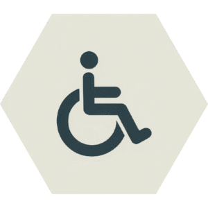 Disability/Social Inclusion