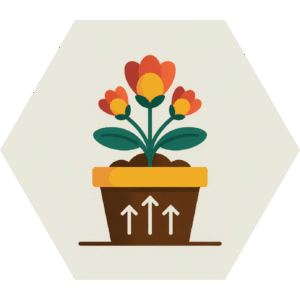 Development